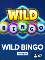 Wild Bingo BC Game Sırbistan cover