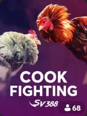 Cock Fighting BC Game Sırbistan cover